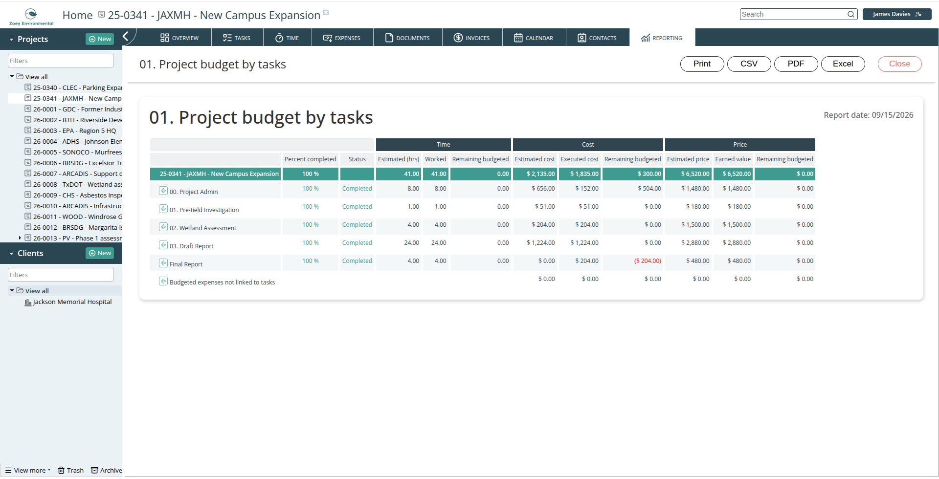 Project budget by task report output