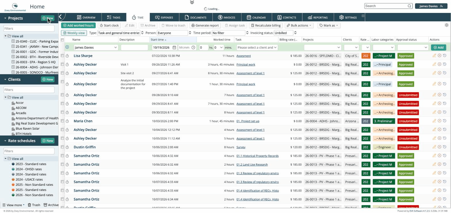 Opening the blank Project form from the New menu in the Projects section of the left panel