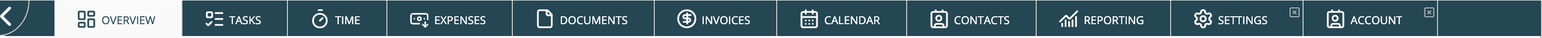 Module tabs: Overview, Tasks, Time, Expenses, Documents, Invoices, Calendar, Contacts, and Reporting